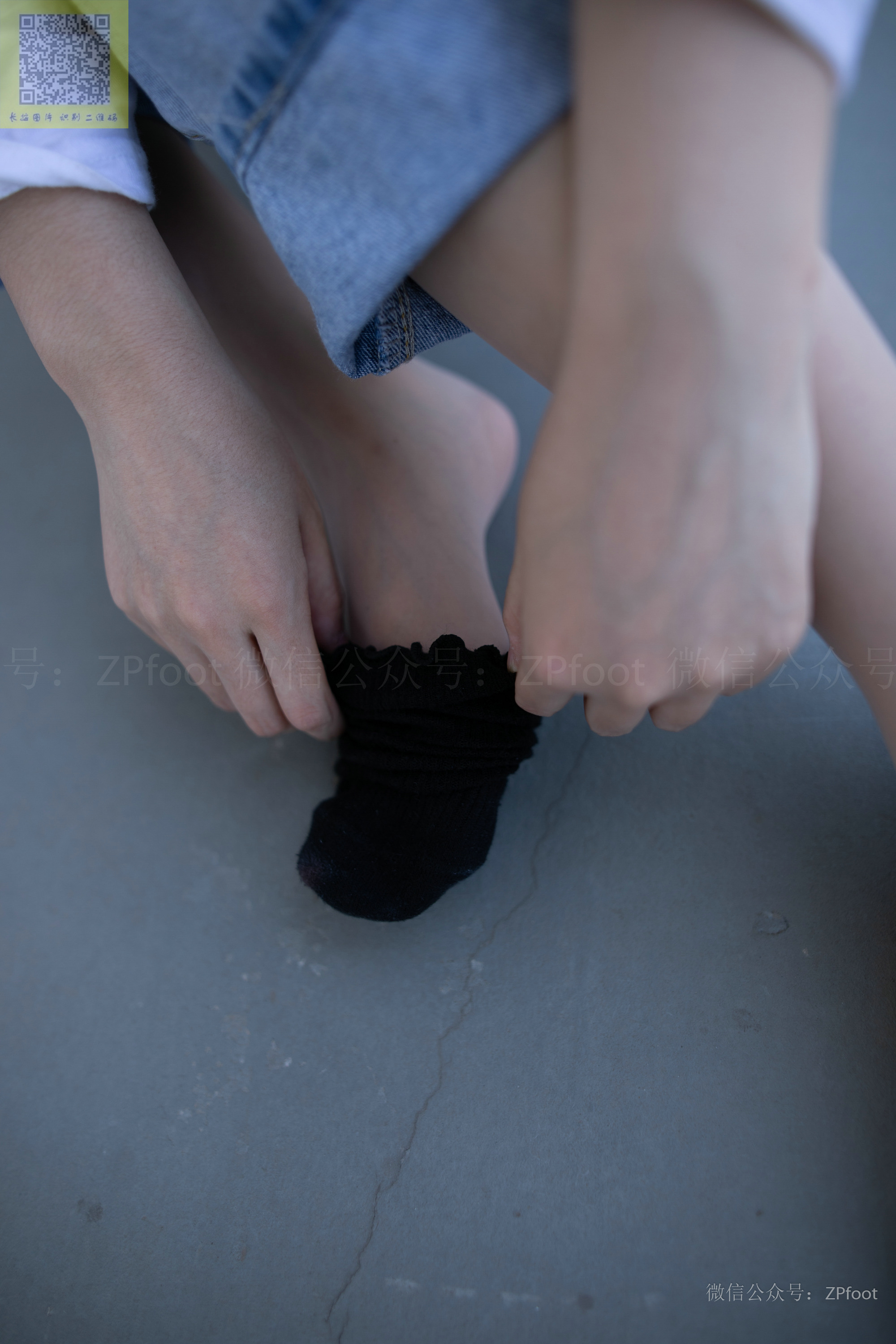 ISS山茶摄影 024 鑫鑫库里丝